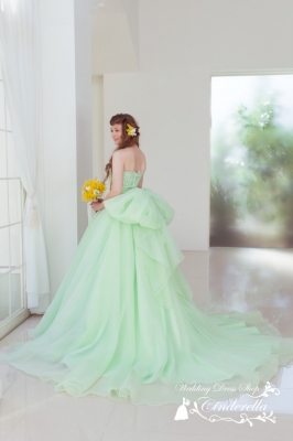 SS1960GR Cinderella & Co.,Inc.